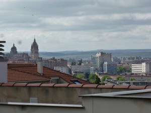 P1010821 (1)